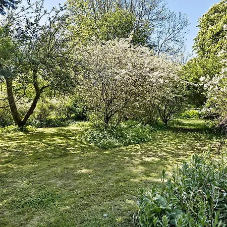 Cozy In With Kitchen