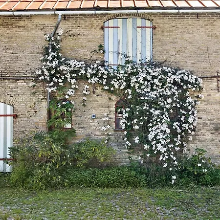 Cozy In With Kitchen *